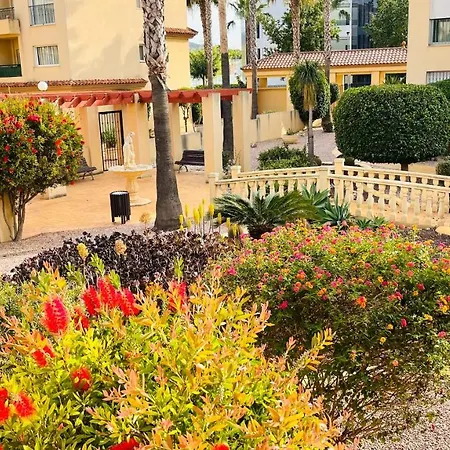 Beautiful 1 Bedroom In Albir El Albir
